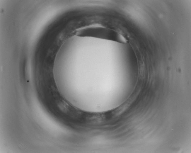 X0000074310383200609152013