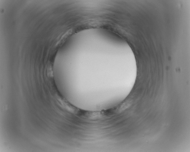 X0000074310384200609152013