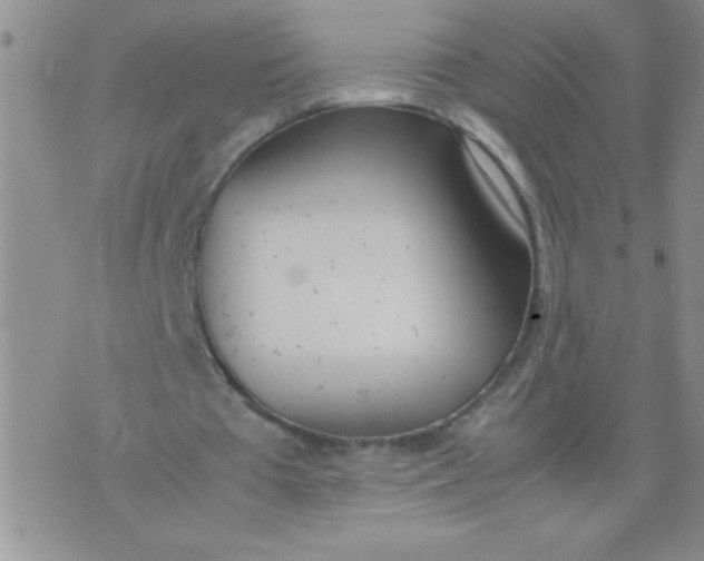 X0000074310385200609152012