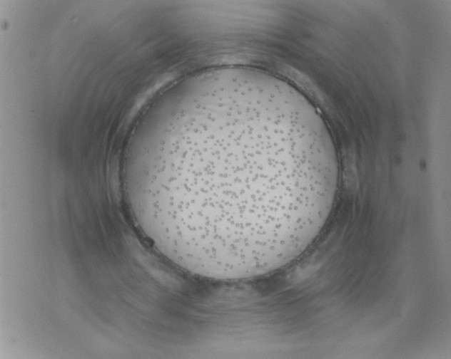 X0000074310386200609152012