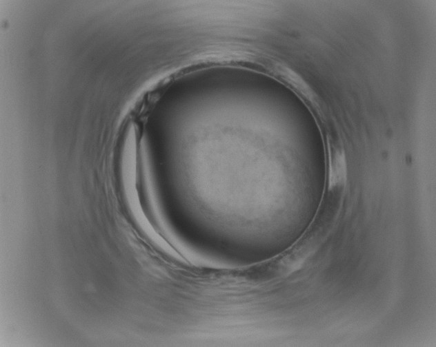 X0000074310387200609152012