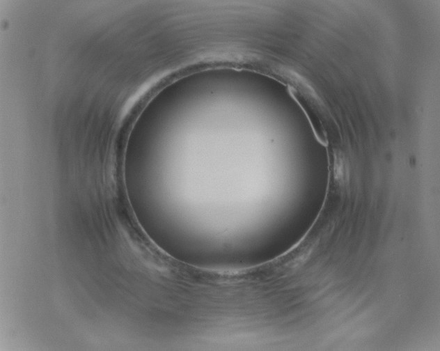 X0000074310388200609152012