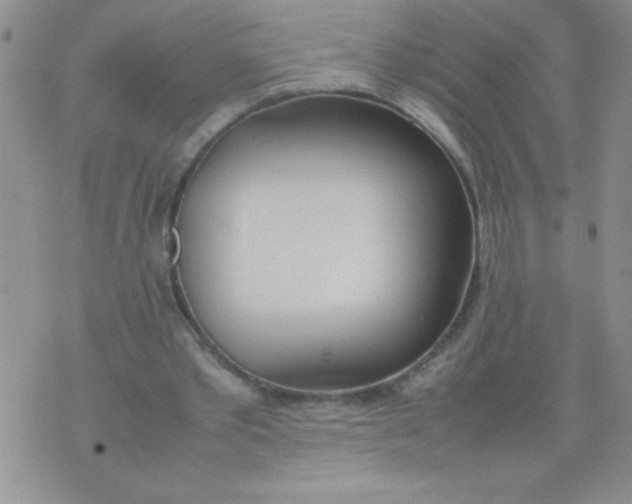 X0000074310389200609152012