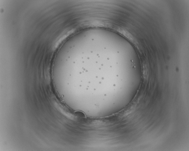 X0000074310390200609152012