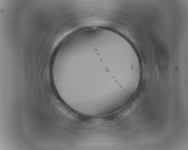 X0000074310391200609152012