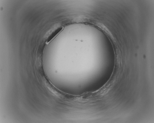 X0000074310393200609152012