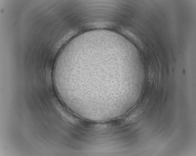 X0000074310394200609152012