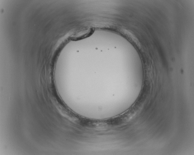 X0000074310395200609152012