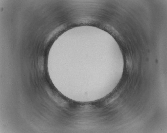 X0000074310396200609152012