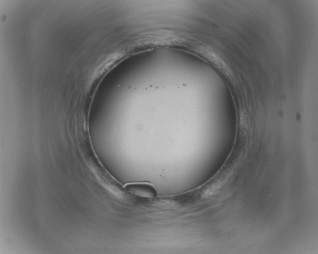 X0000074310397200609152012