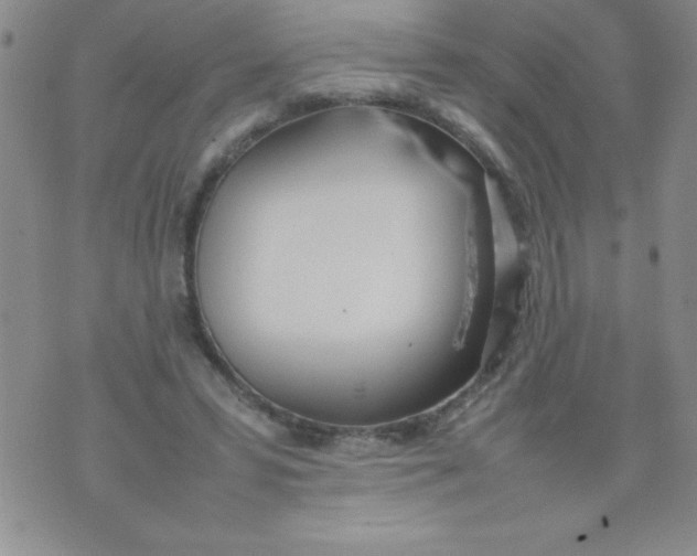 X0000074310399200609152012