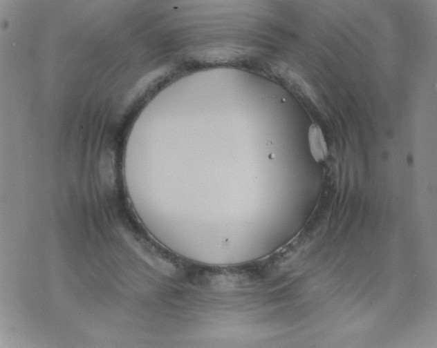 X0000074310400200609152012