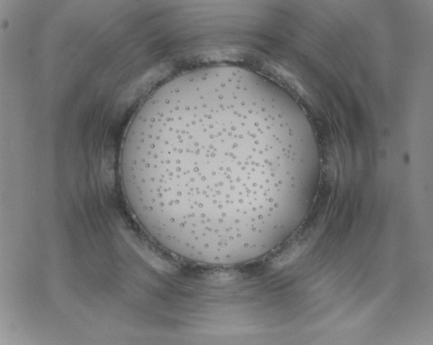 X0000074310402200609152012