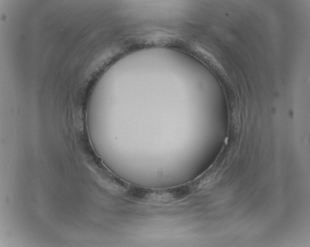 X0000074310403200609152012