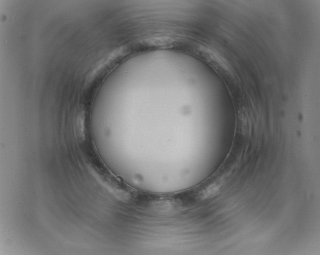 X0000074310404200609152012