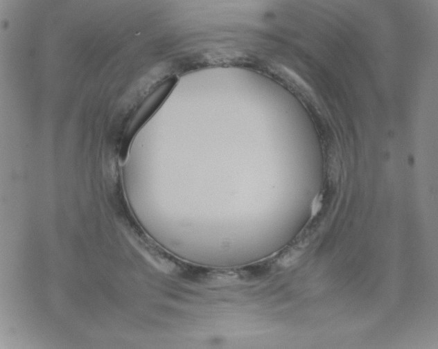 X0000074310405200609152012