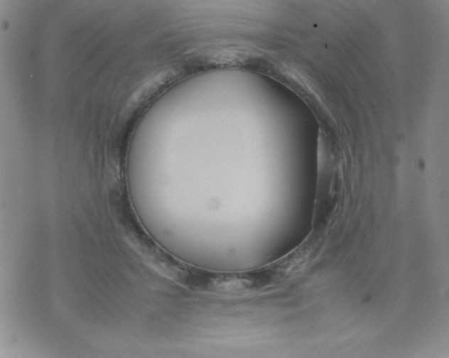 X0000074310407200609152012