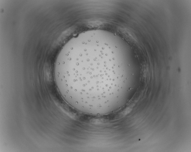 X0000074310408200609152012