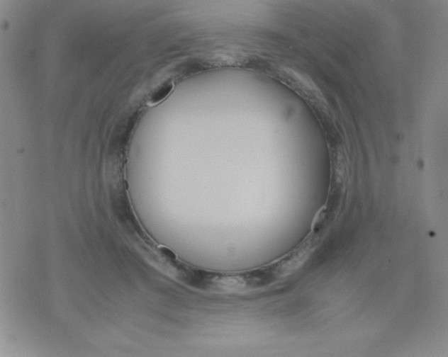 X0000074310409200609152012