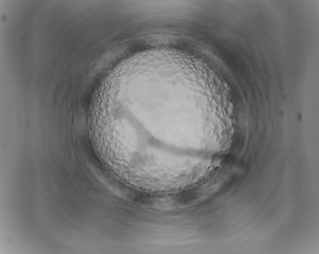 X0000074310411200609152012