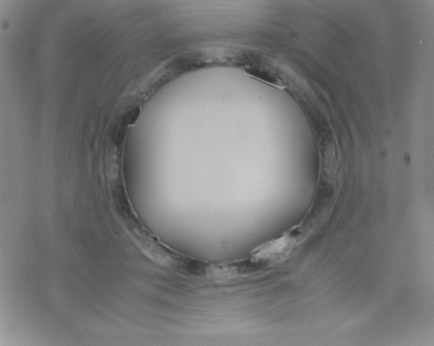 X0000074310413200609152012