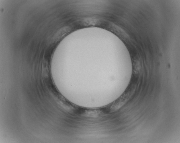 X0000074310414200609152012