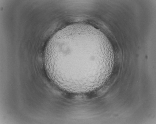 X0000074310415200609152012