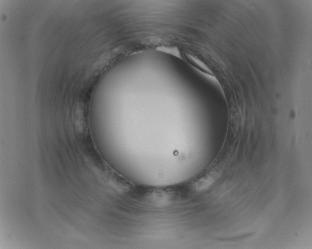 X0000074310416200609152012