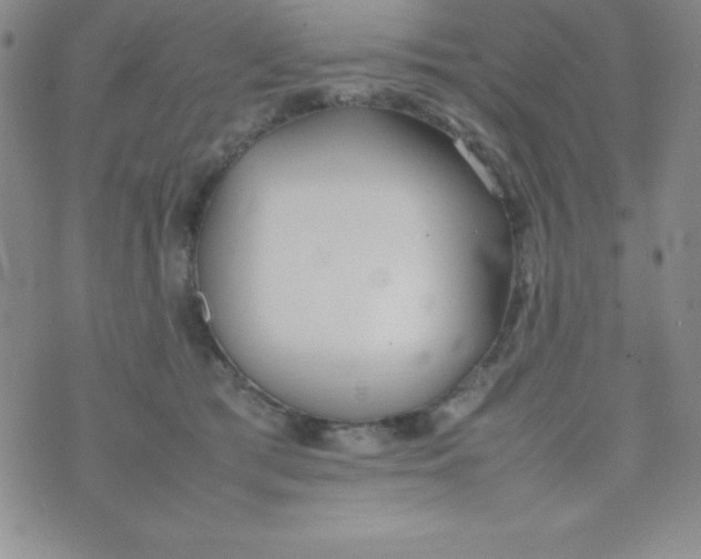 X0000074310417200609152012