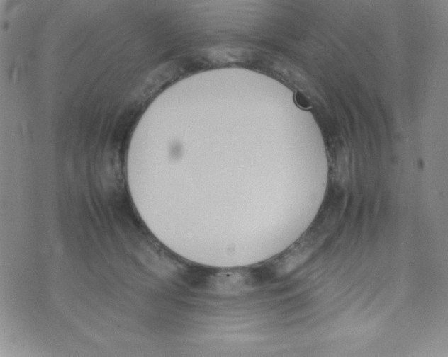 X0000074310418200609152012