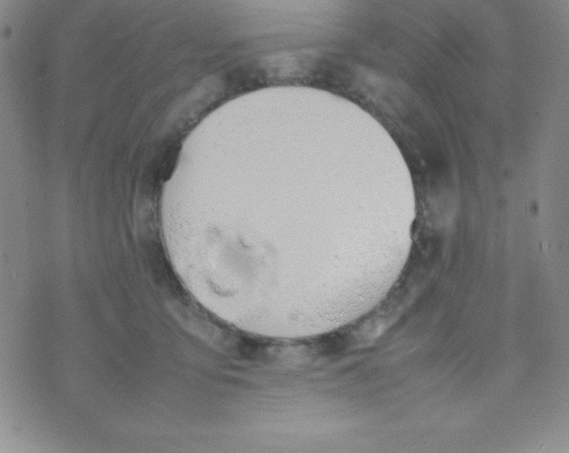 X0000074310419200609152012