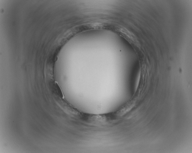 X0000074310421200609152011