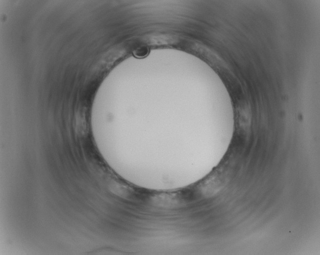 X0000074310422200609152011