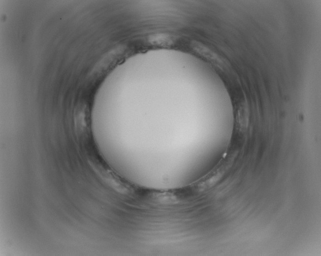 X0000074310424200609152011