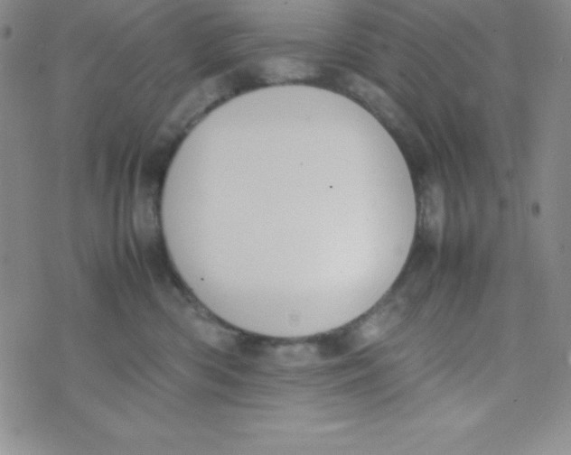 X0000074310426200609152011