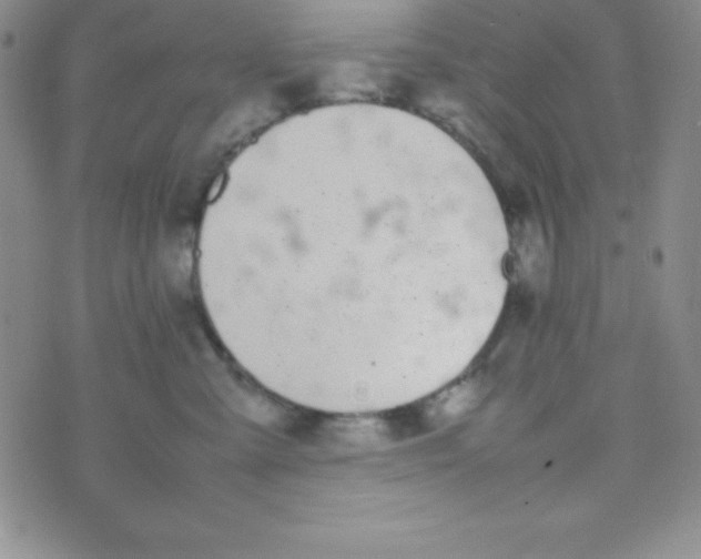 X0000074310427200609152011