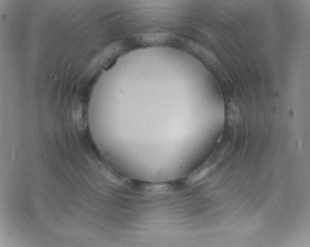 X0000074310428200609152011