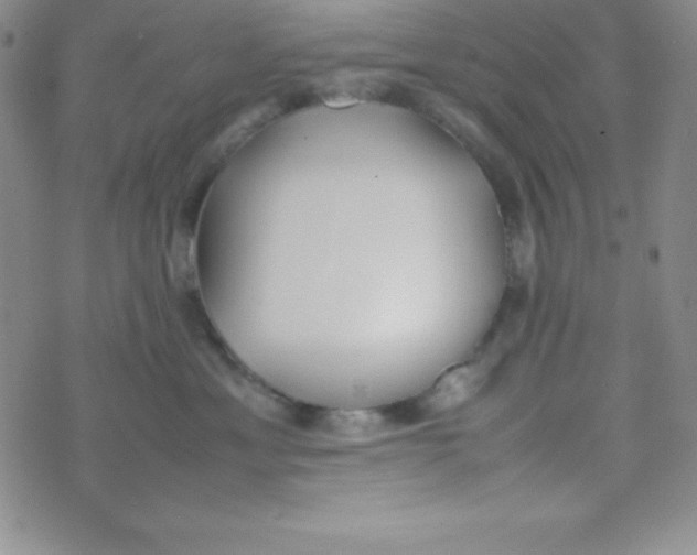 X0000074310429200609152011