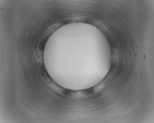 X0000074310430200609152011