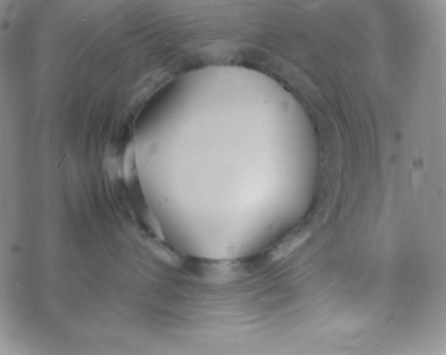 X0000074310432200609152011