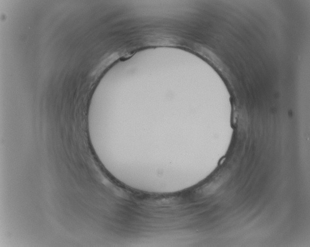 X0000074310433200609152011