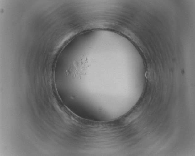 X0000074310434200609152011