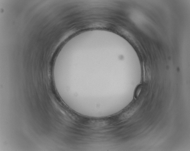 X0000074310435200609152011