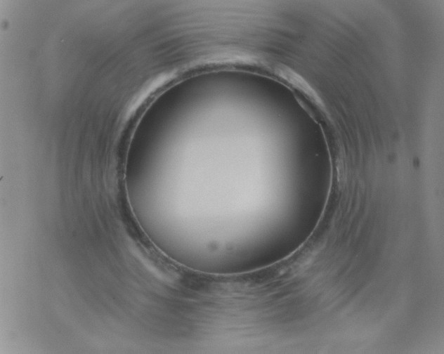 X0000074310436200609152011