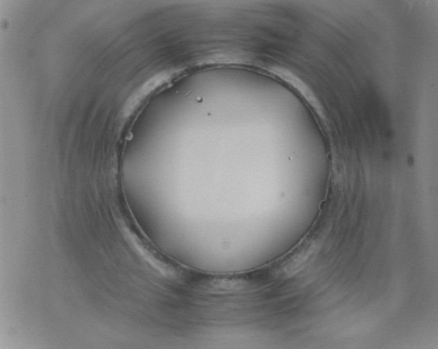 X0000074310437200609152011