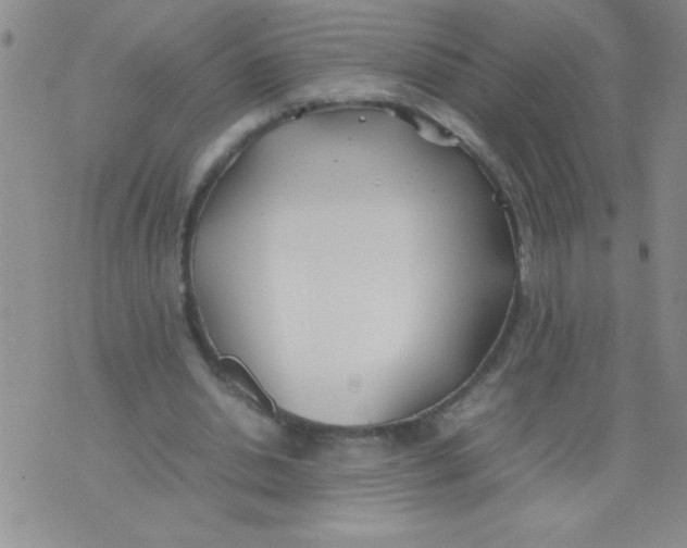 X0000074310438200609152011