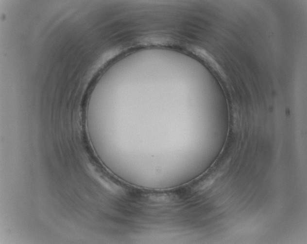 X0000074310439200609152011