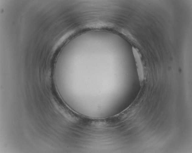 X0000074310440200609152011