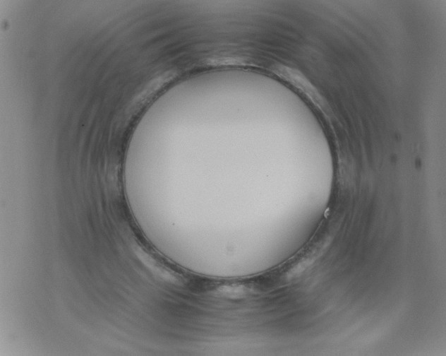 X0000074310441200609152011