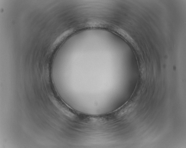 X0000074310442200609152011